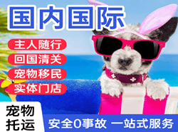 莫力达瓦旗空运地址国际宠物托运 【国
